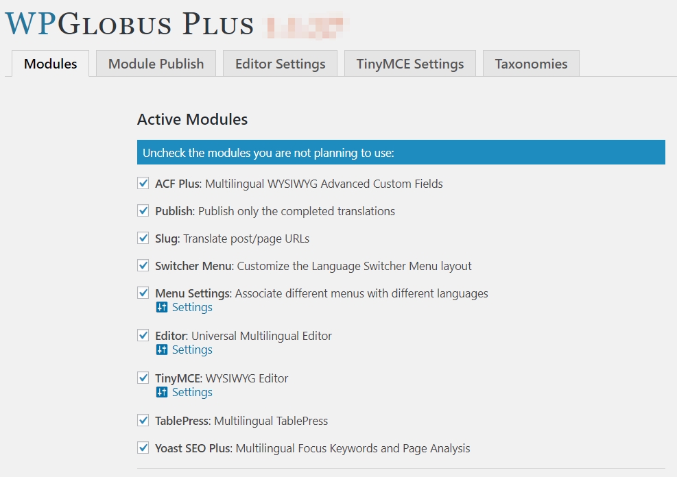 WPGlobus-Plus options panel
